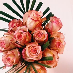 Meet your Posher, Fabi